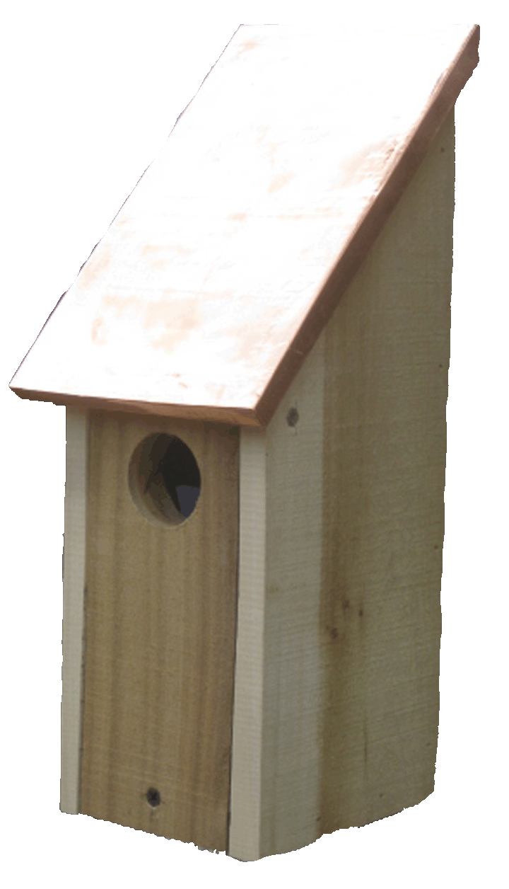 bluebird nesting box3
