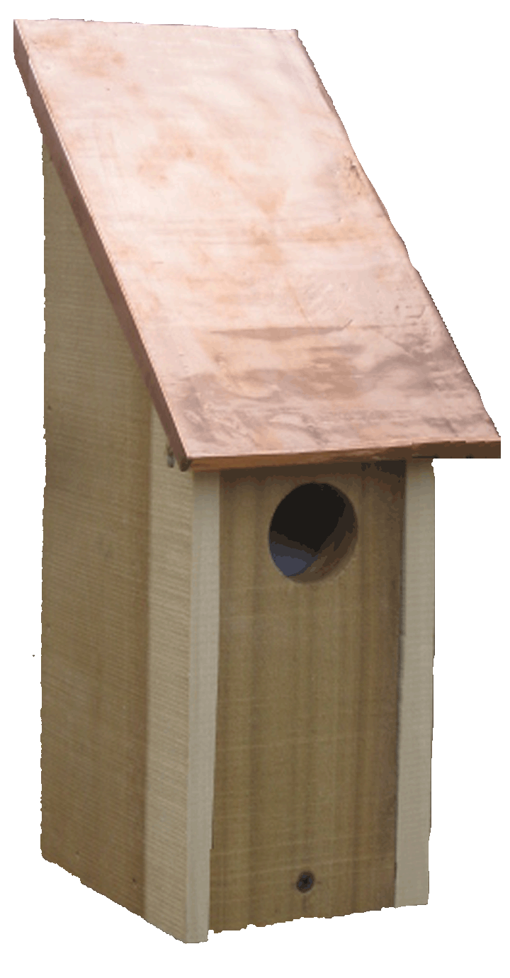 bluebird nesting box2