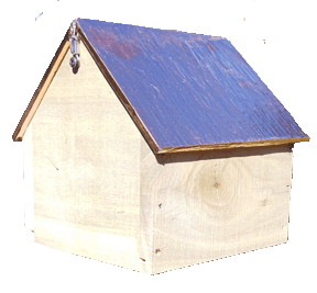 upside down suet feeder 2